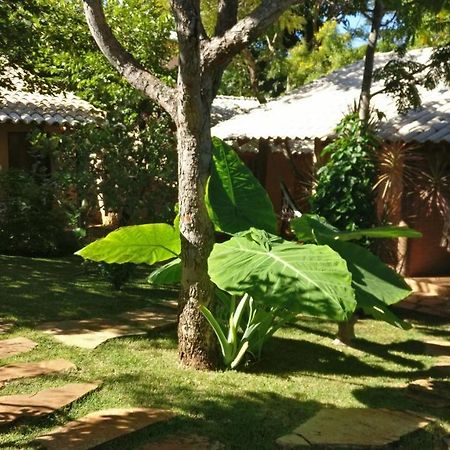 Chale Juliet Villa ปิเรนนอโปลิส ภายนอก รูปภาพ